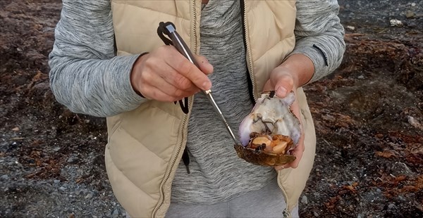 1143 21.08 Краинии завтрак